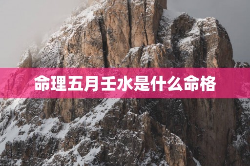 命理五月壬水是什么命格