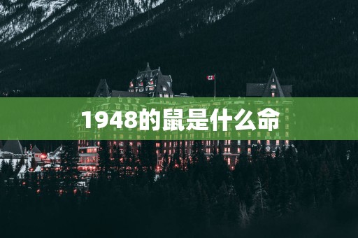 1948的鼠是什么命