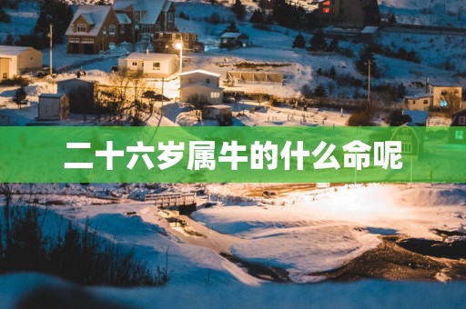 二十六岁属牛的什么命呢