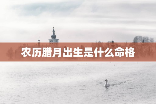 农历腊月出生是什么命格
