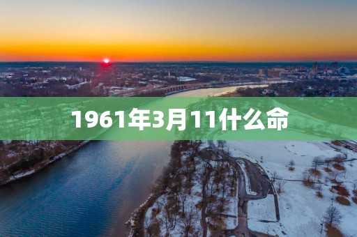 1961年3月11什么命