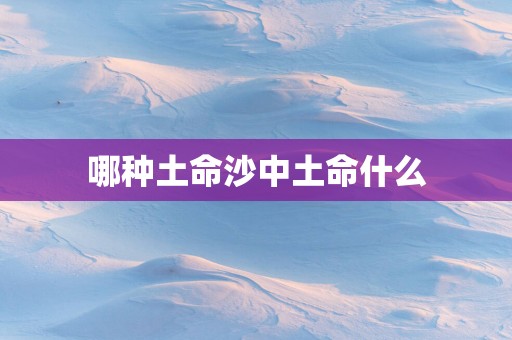 哪种土命沙中土命什么