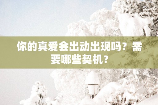 你的真爱会出动出现吗？需要哪些契机？