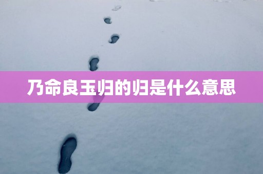 乃命良玉归的归是什么意思