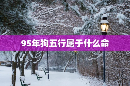 95年狗五行属于什么命