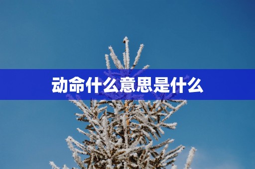 动命什么意思是什么