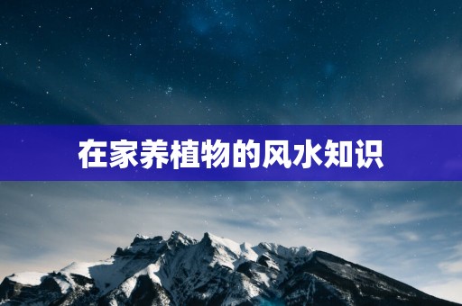 在家养植物的风水知识