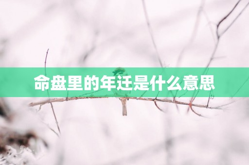 命盘里的年迁是什么意思