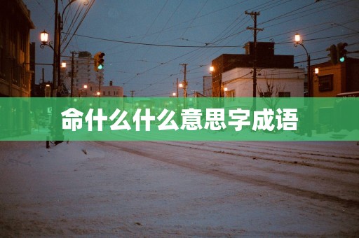 命什么什么意思字成语