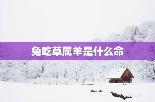 兔吃草属羊是什么命