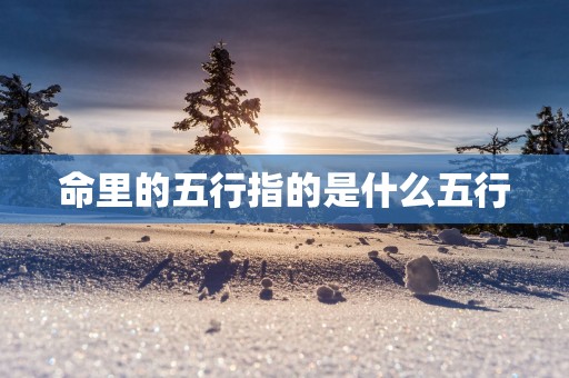 命里的五行指的是什么五行