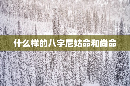 什么样的八字尼姑命和尚命