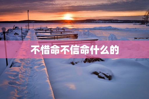 不惜命不信命什么的