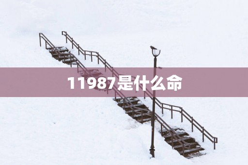 11987是什么命