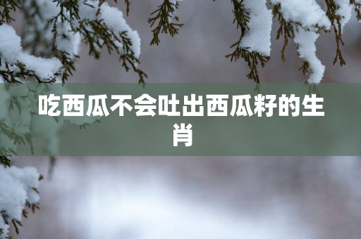 吃西瓜不会吐出西瓜籽的生肖
