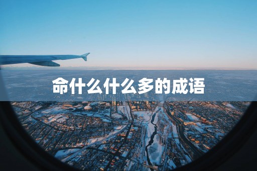 命什么什么多的成语