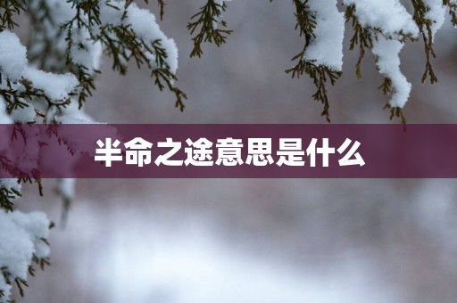 半命之途意思是什么
