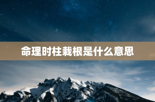 命理时柱栽根是什么意思