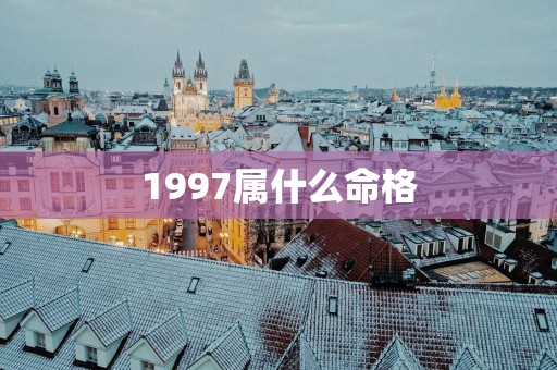 1997属什么命格