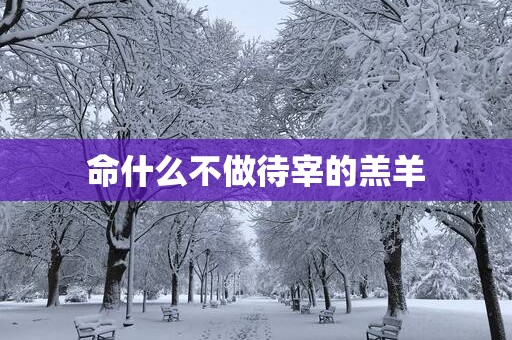 命什么不做待宰的羔羊