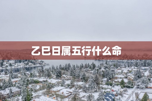 乙巳日属五行什么命