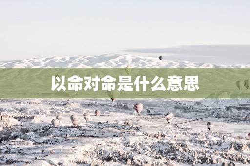 以命对命是什么意思