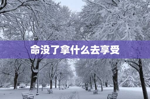 命没了拿什么去享受