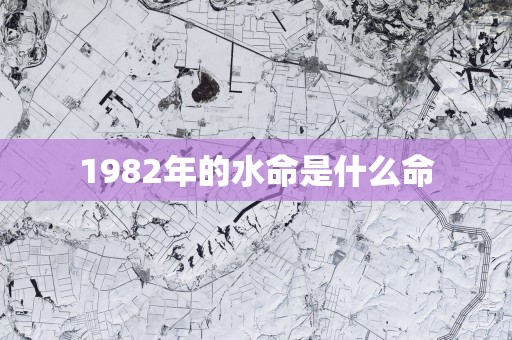 1982年的水命是什么命