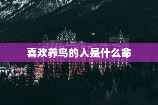 喜欢养鸟的人是什么命