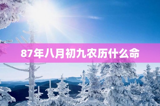 87年八月初九农历什么命
