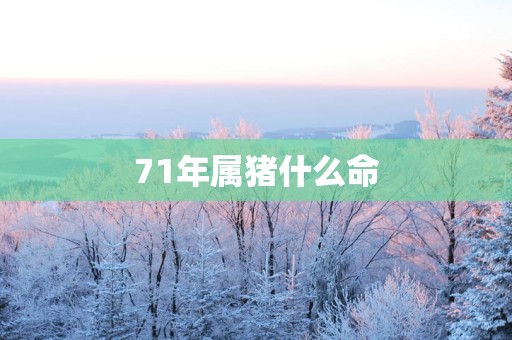 71年属猪什么命
