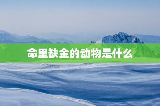 命里缺金的动物是什么