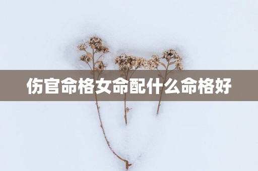 伤官命格女命配什么命格好