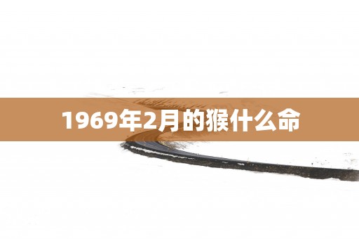 1969年2月的猴什么命