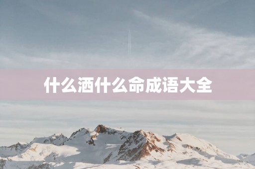 什么洒什么命成语大全