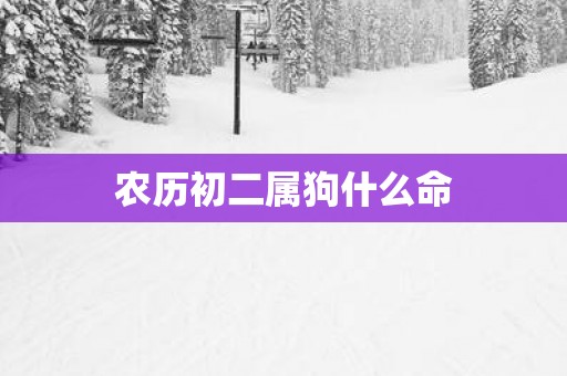农历初二属狗什么命
