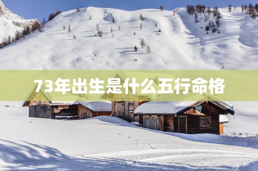 73年出生是什么五行命格