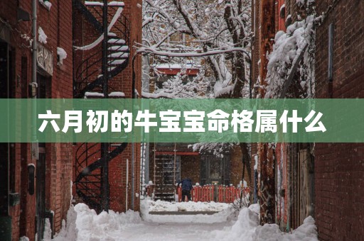 六月初的牛宝宝命格属什么
