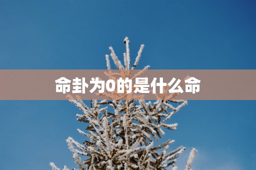 命卦为0的是什么命