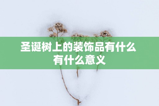 圣诞树上的装饰品有什么 有什么意义