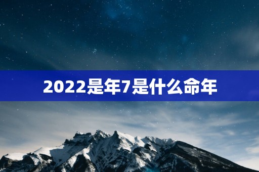 2025是年7是什么命年