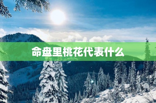 命盘里桃花代表什么