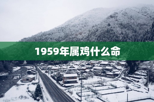 1959年属鸡什么命