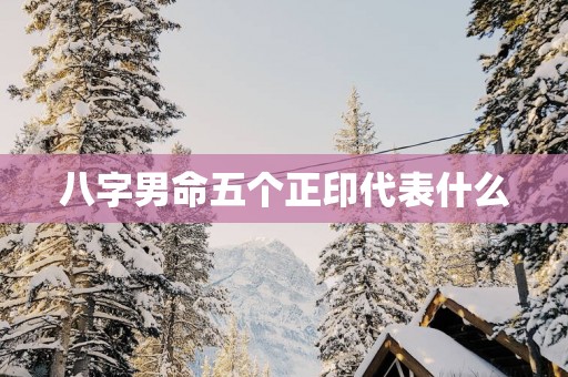 八字男命五个正印代表什么