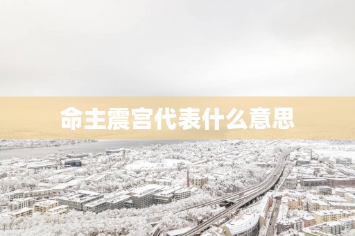 命主震宫代表什么意思