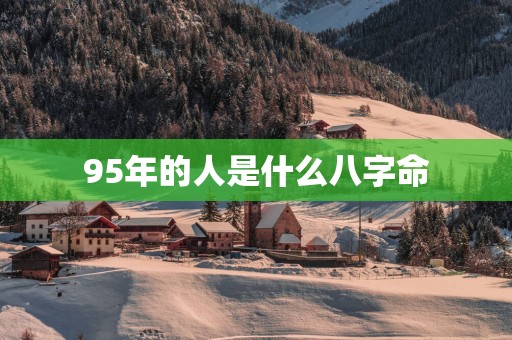 95年的人是什么八字命