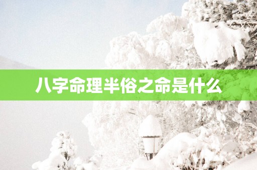 八字命理半俗之命是什么