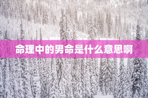 命理中的男命是什么意思啊