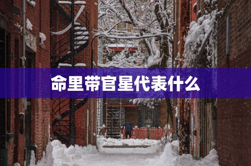 命里带官星代表什么
