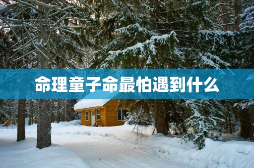 命理童子命最怕遇到什么